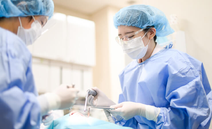 臨床実習の様子2