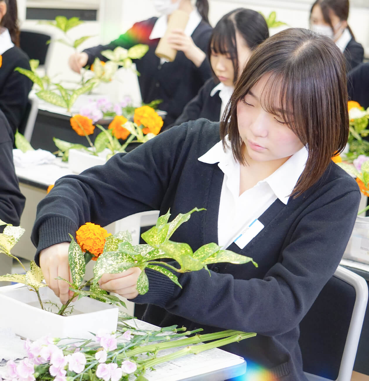 専門知識だけでなく、豊かな教養を育むカリキュラム