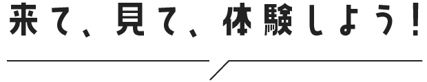来て、見て、体験しよう!